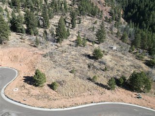 17 Blue Haven Pl Woodland Park, CO 80863