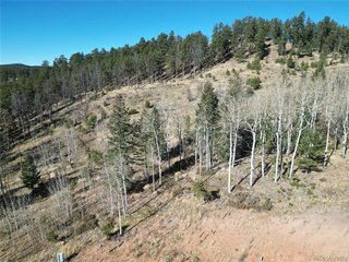 14 Blue Haven Pl Woodland Park, CO 80863
