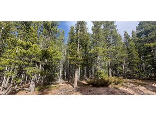 3246 Zipf Ln Fort Garland, CO 81133