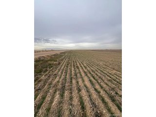 (TBD) TBD E 112th Ave Bennett, CO 80102