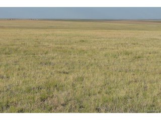 2215 CR 269 Deer Trail, CO 80105