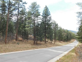 8139 Bannock Dr Larkspur, CO 80118