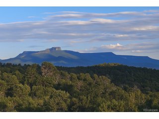 14585 Indian Spring Dr Trinidad, CO 81082