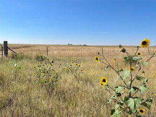 46850 County Road 46 Limon, CO 80828