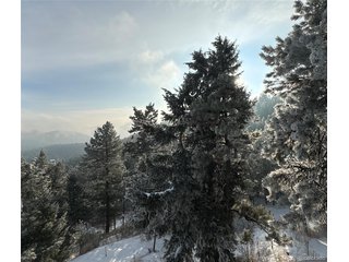 5312 Adahi Rd Indian Hills, CO 80454