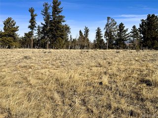 620 Wagon Wheel Rd Hartsel, CO 80449