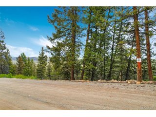 0 Trout Creek Ln Fairplay, CO 80440