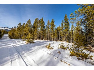539 Sequoia Dr Leadville, CO 80461