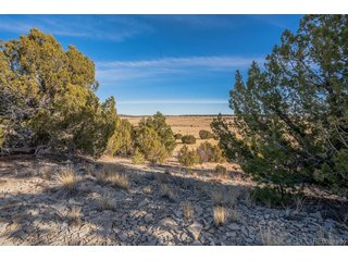 24 Hatchet Ranch Colorado City, CO 81019