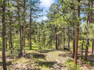 1180 Lone Scout Lookout Monument, CO 80132
