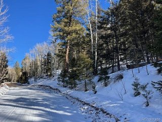 5339 Howard Rd Fort Garland, CO 81133