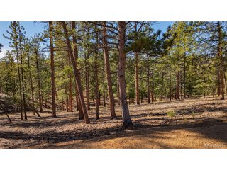 113 Schmittel Sedalia, CO 80135