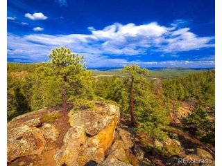 0 Tallberg Ln Conifer, CO 80433