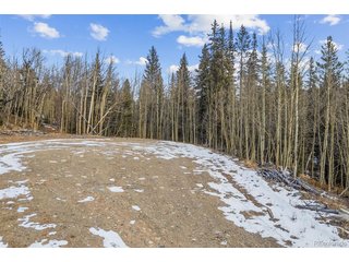 131 Aspen St Alma, CO 80420