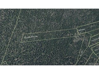 0 Silver Dollar Lode Georgetown, CO 80444