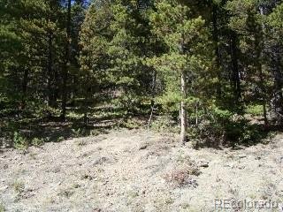 680 Alice Rd Idaho Springs, CO 80453