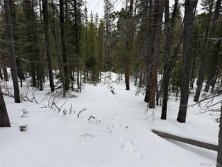 2806 Moir Dr Fort Garland, CO 81133