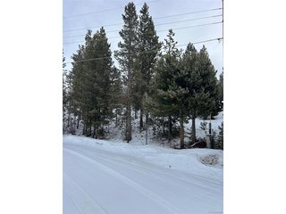 114 Mustang Trl Grand Lake, CO 80447