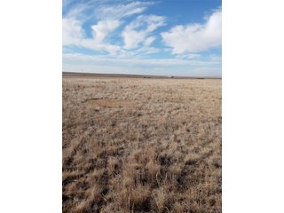 13 Sunrise Ranch Ault, CO 80610