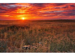 57950 E Harvard Pl Strasburg, CO 80136