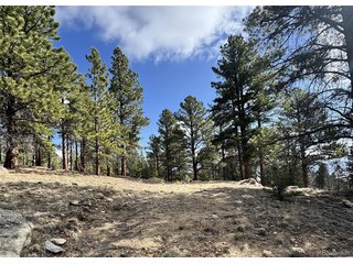 30317 Aspen Turn Buena Vista, CO 81211
