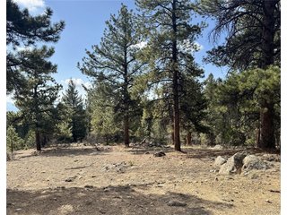 30317 Aspen Turn Buena Vista, CO 81211