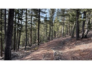 461 Paradiso Rd Divide, CO 80814
