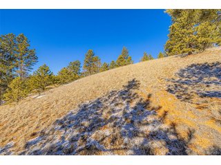 772 E Bison Creek Trl Florissant, CO 80816