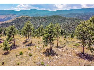33550 Mount Wilson Trl Pine, CO 80470