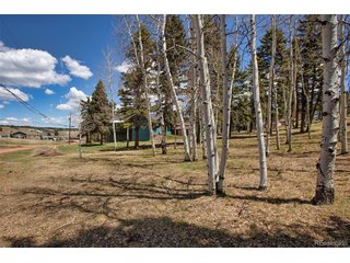 571 Will Scarlet Dr Divide, CO 80814