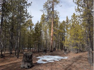 179 Cedar Dr Twin Lakes, CO 80461