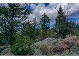 487 Pike View Ln Florissant, CO 80816