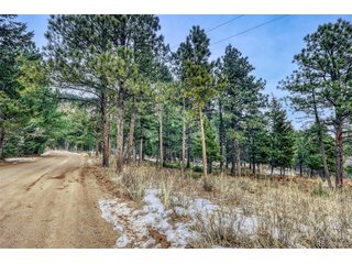 (TBD) Rock Ridge Rd Palmer Lake, CO 80133