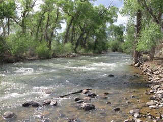 27 Alamosa River Ests La Jara, CO 81140