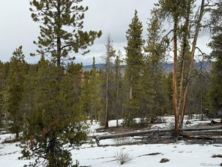 124 Lodgepole Dr Twin Lakes, CO 81251