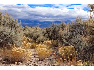 0 Wild Horse Dr San Luis, CO 81152