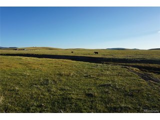 770 Pawnee Trl Hartsel, CO 80449