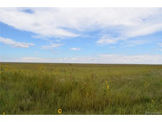 8 County Rd V Rush, CO 80833