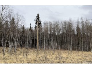 688 Ouray Trl Como, CO 80432