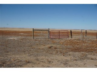 (TBD) Unknown Rush, CO 80833