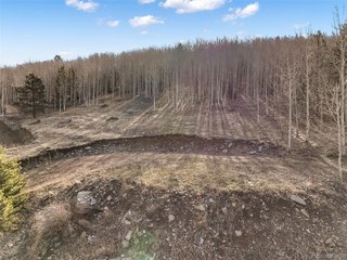 690 Anges Dr Cripple Creek, CO 80813