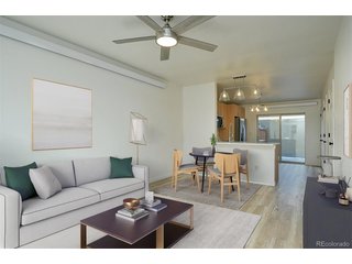 480 Antero Cir 207 Buena Vista, CO 81211