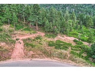7100 Fox Cir Larkspur, CO 80118