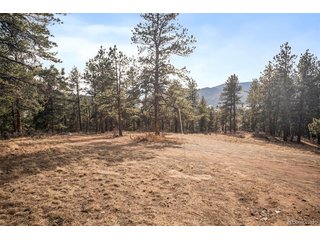 260 Bailey Dr Bailey, CO 80421