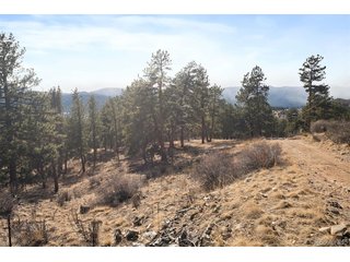 260 Bailey Dr Bailey, CO 80421