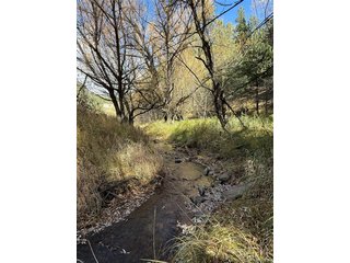 7438 S Turkey Creek Rd Morrison, CO 80465