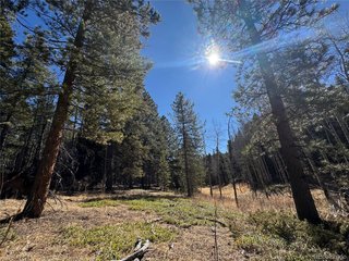 14 Wallace Ave Conifer, CO 80433