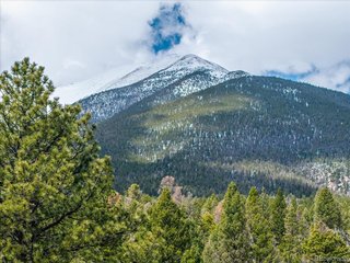 24900 County Road 339 Buena Vista, CO 81211