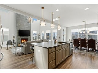 146 Kitselman Dr Castle Rock, CO 80104