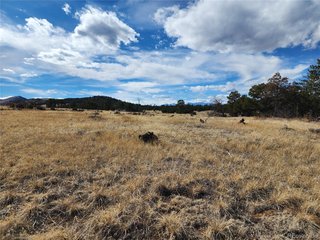 (TBD) Pinon Cotopaxi, CO 81223